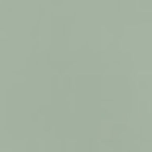 Meet your Posher, Savannah